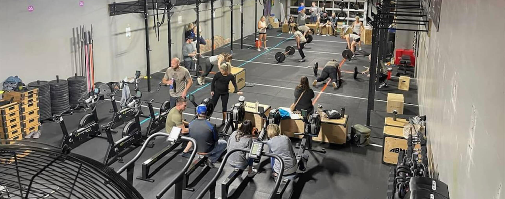 Newton Elite Fitness & Effing Elite Fitness The Best Fitness and